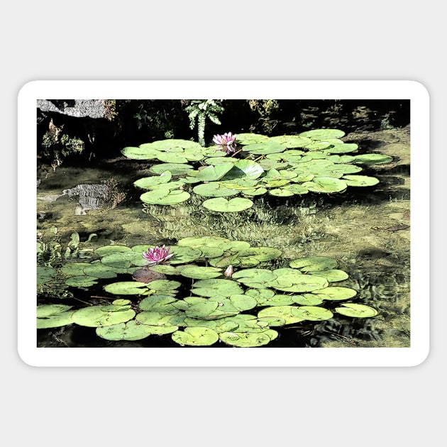 Floating Lily Pads Sticker by KirtTisdale